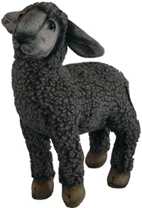 Plush Black Lamb