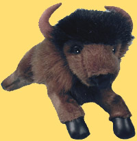 Baby Bill - Buffalo