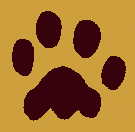 Paw